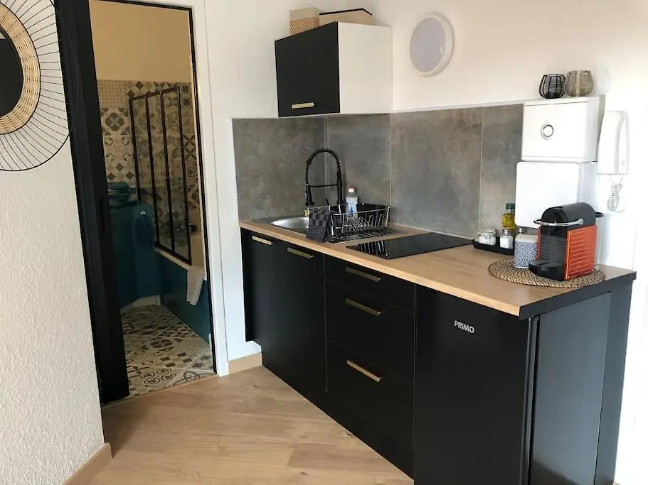 Studio Moderne, Terrasse Et Parking Romans-sur-Isere 0*,